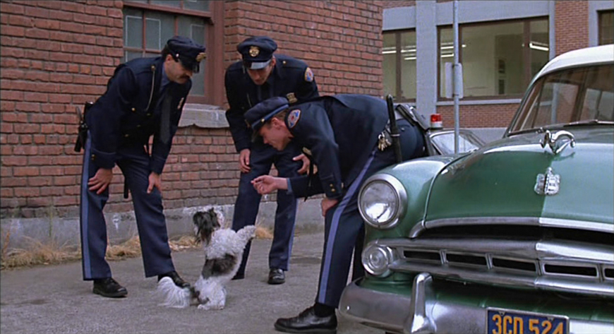 Panda and the police.